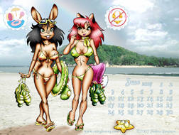 Beachy Babes Small Pix