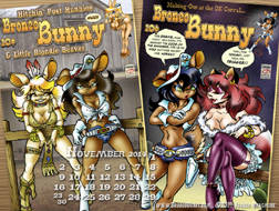 Bronco Covers small pix