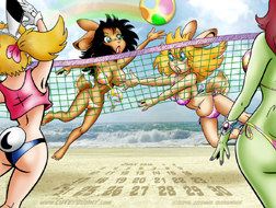 Beach BunnyVolley Ball  Small Pix